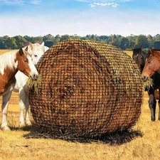 Round Bale Hay Net for Horses & Livestock, 5x5 Ft Knotless Nylon Slow Feeder