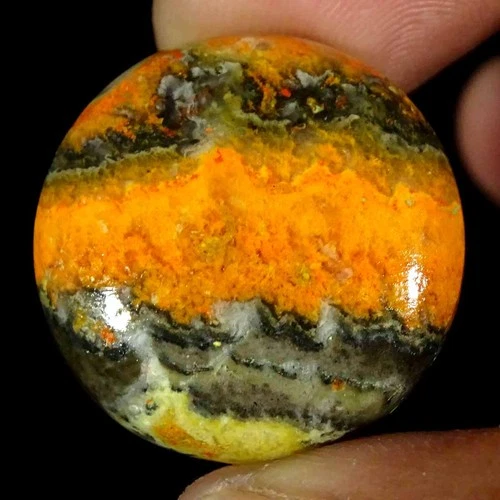 47.20Cts Natural Bumble Bee Jasper Round Cabochon Loose Gemstone