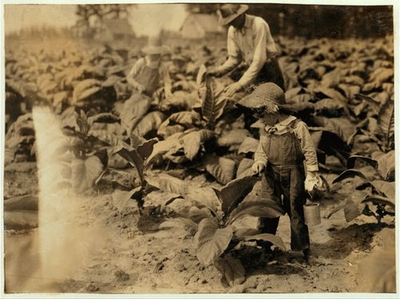 #ad #ad Photo:Trigg CountyGraceyKentuckyLewis Wickes HineFarm LifeAugust 1916 $12.99