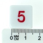 Picture 5 of 37