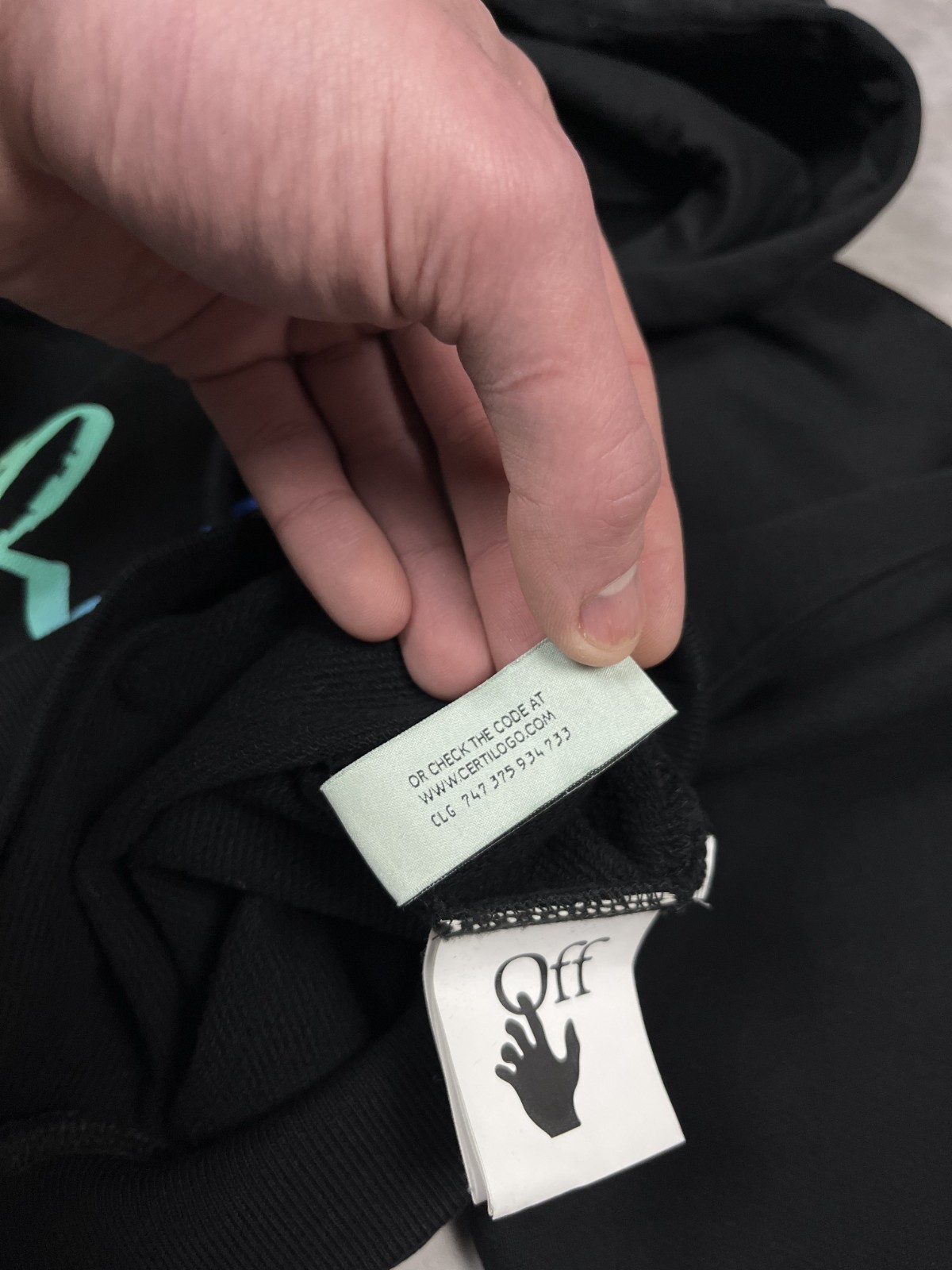 Off-White Rainbow Gradient Script Logo Cropped Ho… - image 8