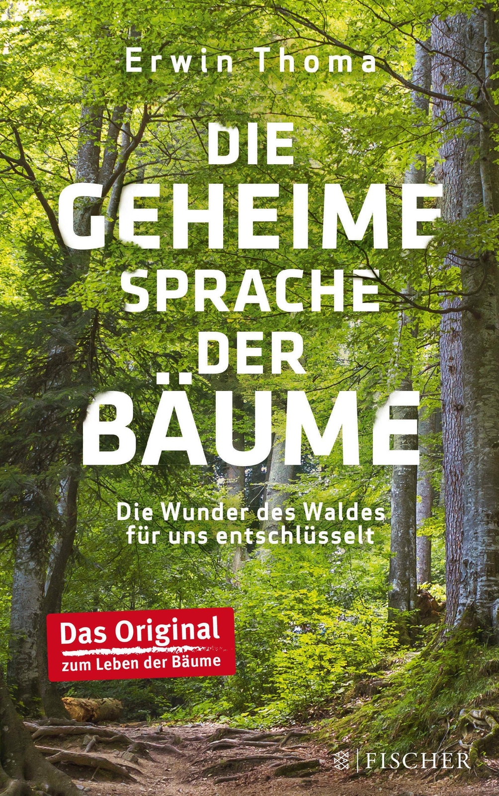 Thumbnail - Die Geheime Sprache Der Bäume | Die Wunder Des Waldes Für Uns