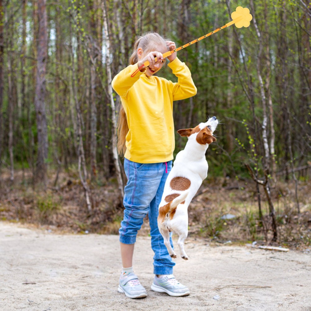Confezione di 3 Accessori per Addestramento Cani foto 3