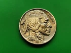 1934 Full Horn Buffalo Nickel. Actual Coins. Lot 3