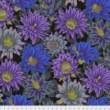 Free Spirit Kaffe Fassett Classics PWPJ096 Black Cactus Flower  Cotton