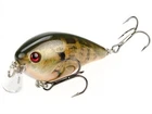 Strike King KVD 1.5 Shallow Crankbait- Natural Bream
