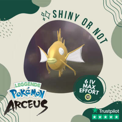 Magikarp Shiny   Legends Pokémon Arceus 6 IV Max Effort Custom OT Leggende
