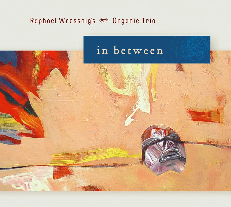 CD Raphael Wressnig In Between Avec Organic Trio - Jazz Orgue - Photo 1/1