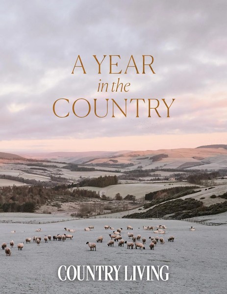 A Year In The Country | The Editors Of Country Living | Buch | Gebunden | 2021-image
