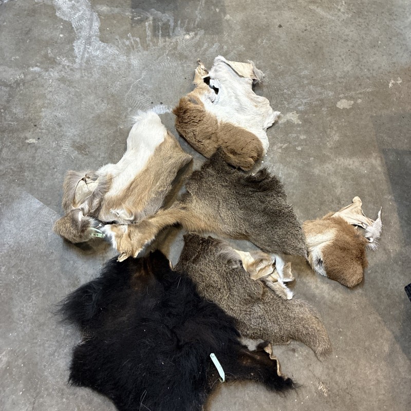 Hide Scrap for Leather Crafts, Hair Fly Tying, Antelope, Deer, And Bison