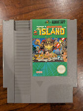 Adventure Island (Nintendo Entertainment System, 1988)
