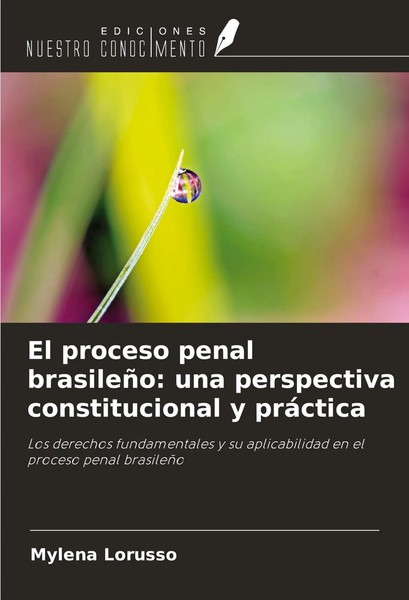 Mylena Lorusso | El Proceso Penal BrasileñO: Una Perspectiva Constitucional Y...-image