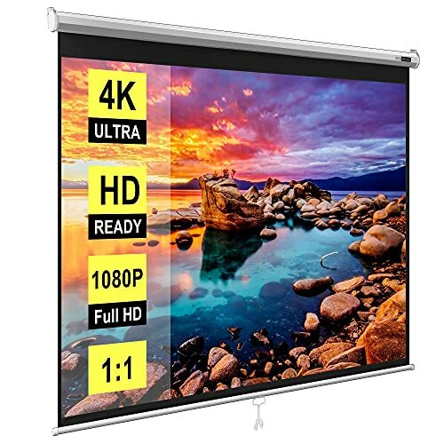 Manual Pull Down Projector Screen 