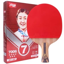 DHS Ping Pong Paddle Professional Racket - Table Tennis Racket with Carrying ...