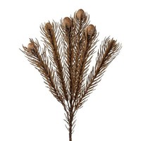artplants KüNstlicher Zweig Nadelkissen Protea Kroli, Grau-Braun, 50Cm