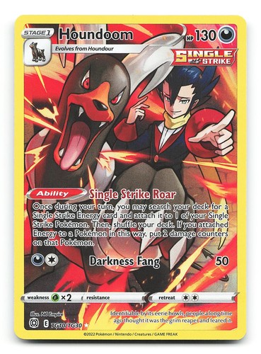 Houndoom TG10/TG30 Brilliant Stars Trainer Gallery Holo Ultra Rare Pokemon NM