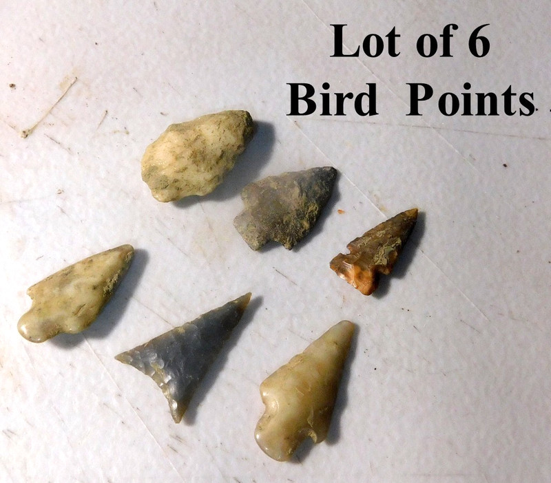 Lot of 6 Arrowheads Bird Points Native American Butker County Ohio A-29