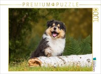 Calvendo Puzzle Little World Explorer - A Collie Puppy | 1000 Pieces, Finished S