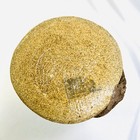 Bild 8 von 11