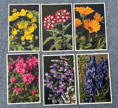 FLOWERS ED BURROW VINTAGE FARBIGE POSTKARTEN SET X 6 POSTKARTEN