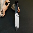 8.9" D2 Tactical Camp Knife Full Tang Resin Handle Fixed Blade Leather Sheath — photo 4