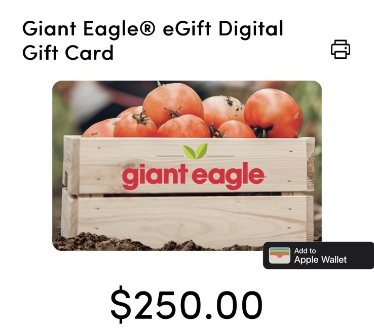 Giant Eagle Digital Gift Card $250 US-Nationwide