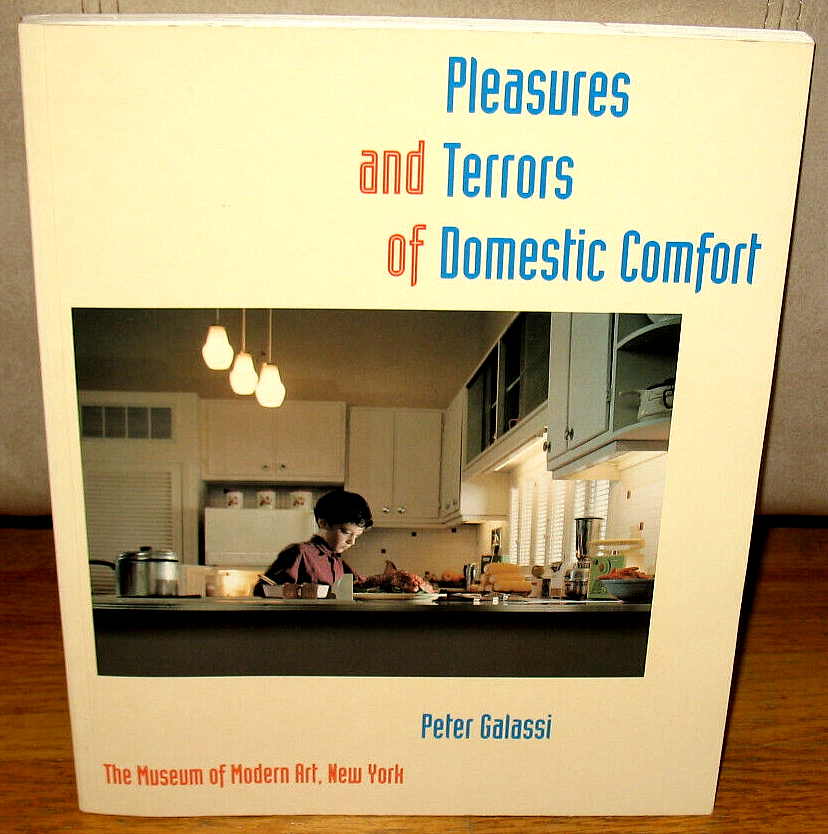Peter Galassi Pleasures and Terrors of Domestic Comfort Nan Goldin