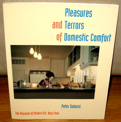 Peter Galassi Pleasures and Terrors of Domestic Comfort Nan Goldin