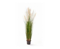 Schilfgras Kunstpflanze 120Cm Mit 6 BlüTen Rispen Und 323 GräSern Von ibizanos