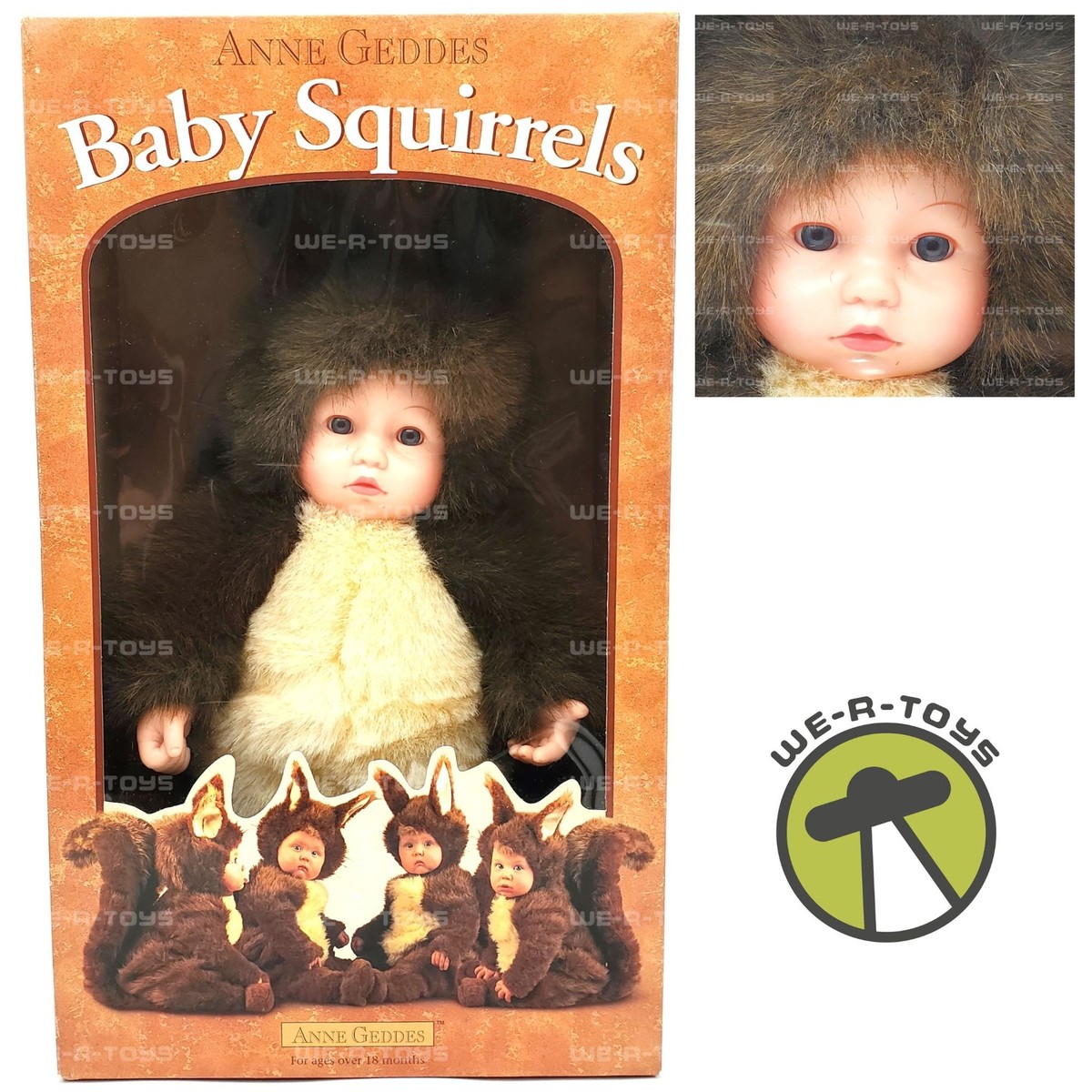 Anne Geddes Baby Squirrels 15