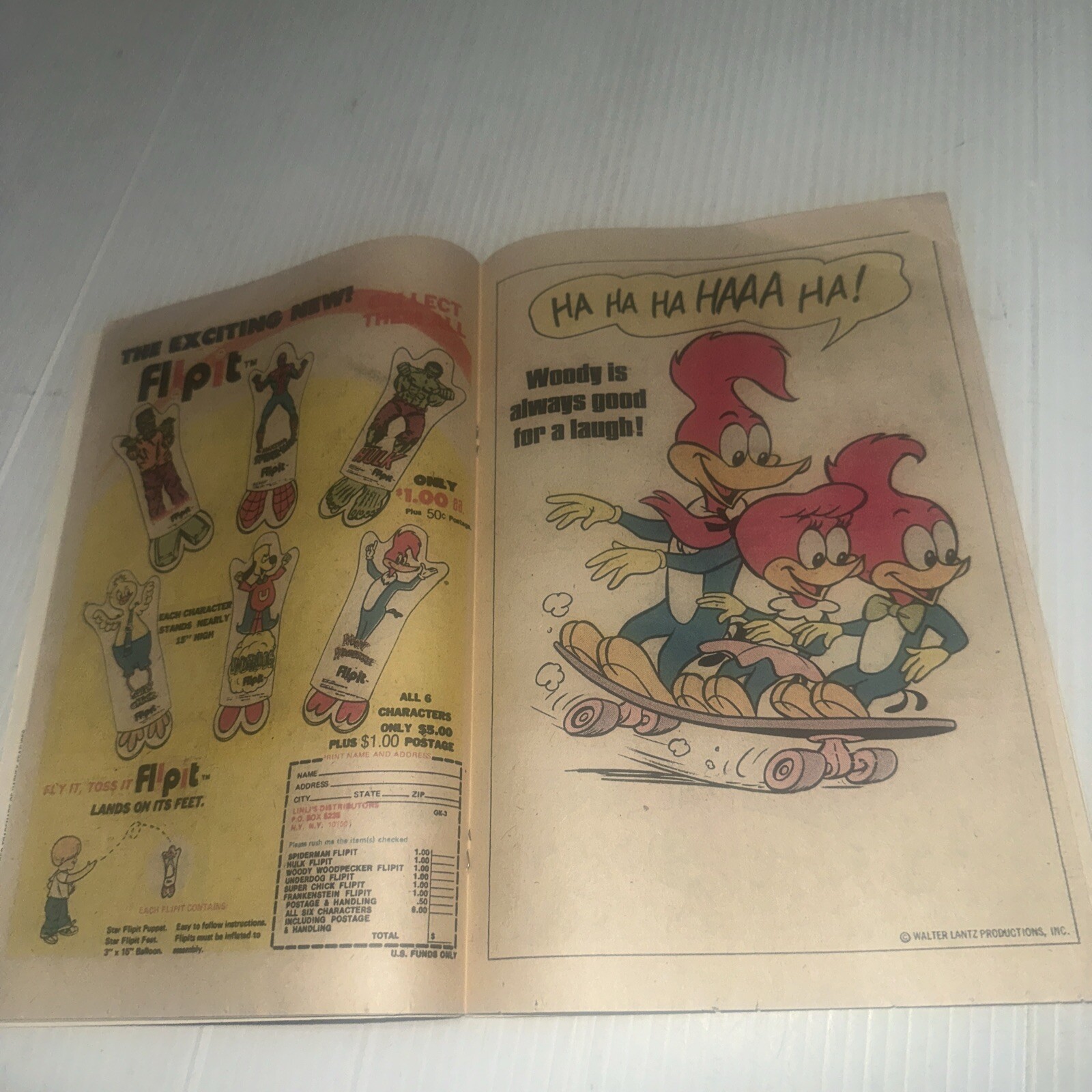 Foto 24 di 24