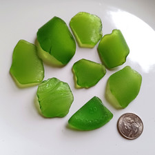 Genuine Surf Tumbled Sea Glass, 8 X-LG lime green pieces, JQ, Frosted, NYC beach