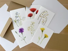 Blank Note Cards with Envelopes Set of 6, Wildflowers Watercolor Illustration A2