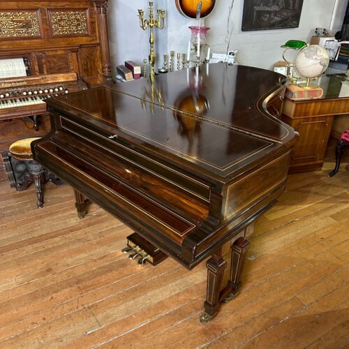 1905 Steinway & Sons Model B Grand Piano Rosewood |Sherwood Phoenix Pianos VIDEO - Picture 12 of 23
