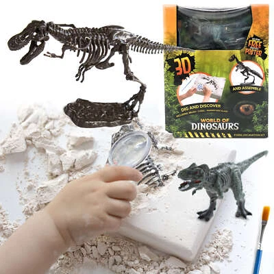 TOITOYS Ausgrabungsset Dino Fossil Dinosaurier Spielzeug T-Rex Skelett Ausgraben Kinder