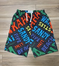 Vintage Surf Line Hawaii Shorts Mens M Original Jams Colorful Swim Board Short