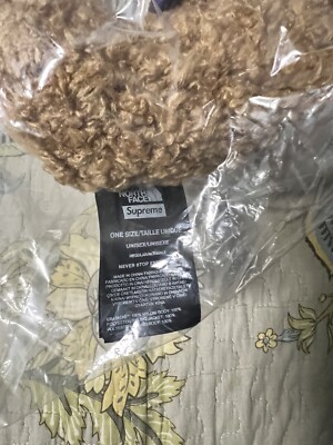 Supreme/The North Face Bear SS24 Season NEW | eBay