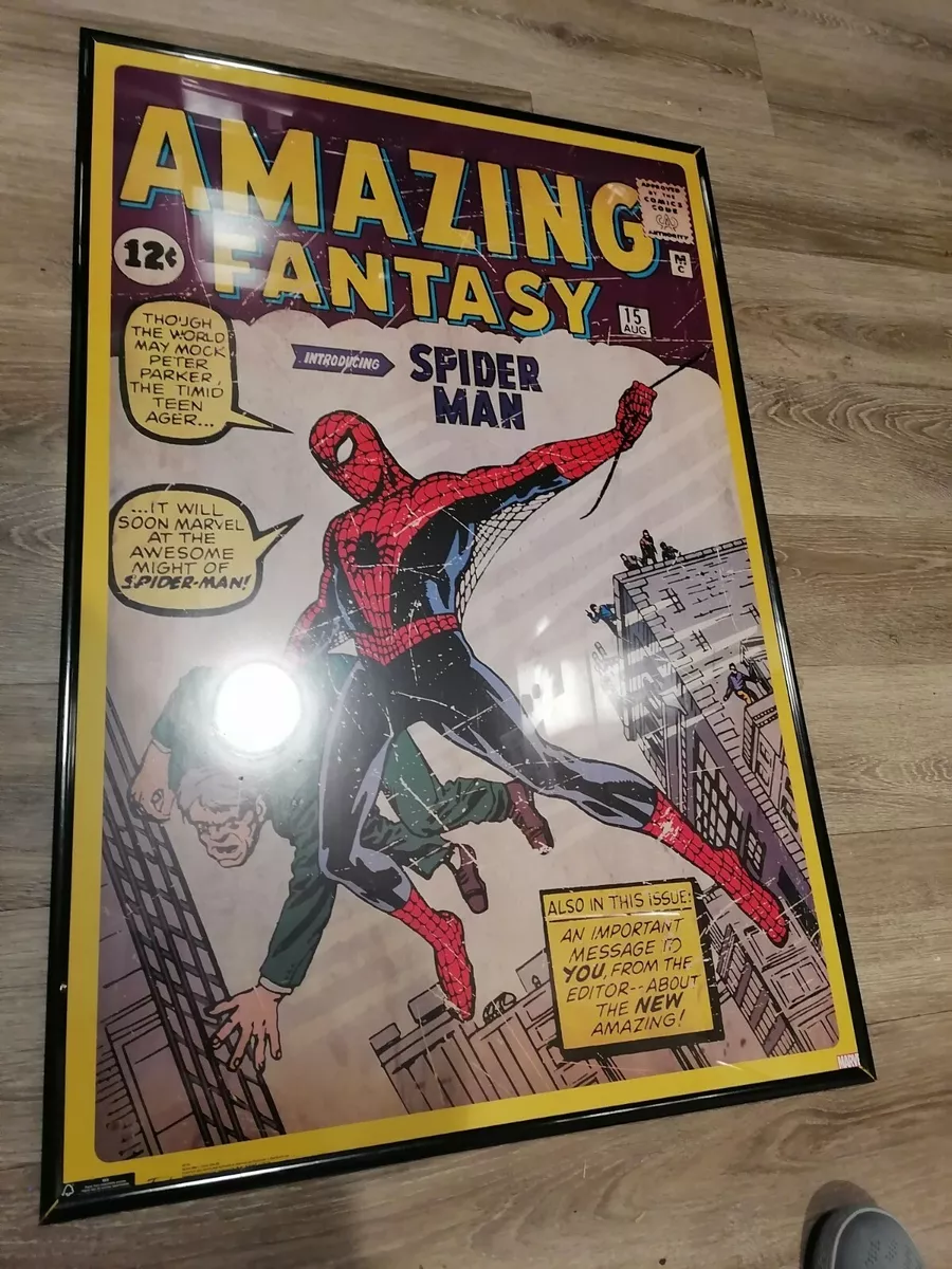 Amazing Fantasy (1962) #15, Comic Issues