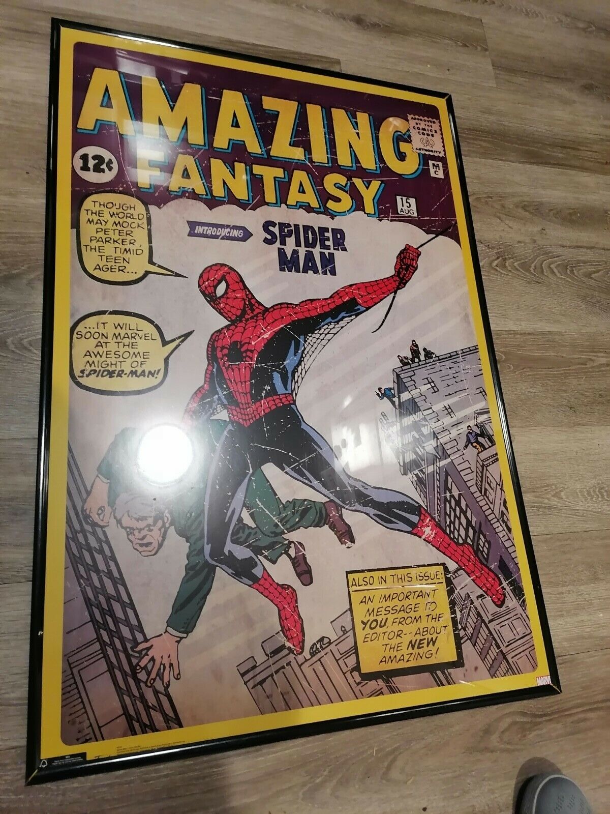 Amazing Fantasy #15 (Spider-Man Debut Aug. 1962) Marvel Comics Cover P –  Sports Poster Warehouse