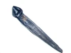 Cretaceous Hell Creek Mammal tooth fossil Altacreodus magnus fully rooted #1