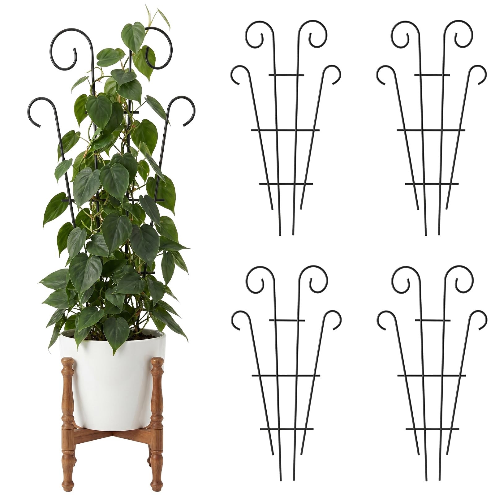 Treillis plantes extérieur et intérieur pour sublimer vos pots de fleurs
