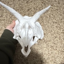 3D Printed Triceratops White Dinosaur Skull Decoration