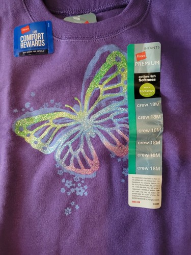 NWT Hanes Toddler Girl's Crew Neck Sweatshirt- Size 18 Months - 第 1/3 張圖片