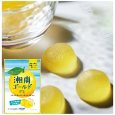 Kaneka Shonan Gold Gummy Fruit Juice Gummy With Love Lactic Acid Bacteria, 40G _