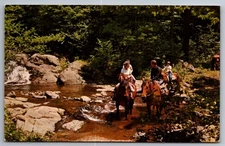 Postcard  Riders on Horseback Whiteoak Canyon Shenandoah Ntl. Park Va. L-19M