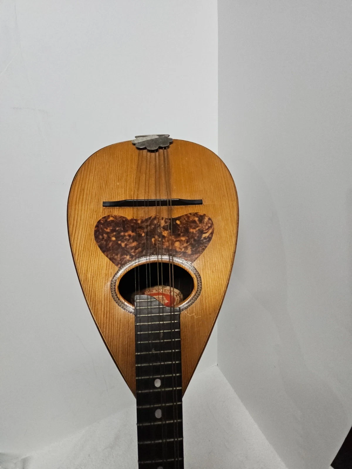Picture 5 of 24