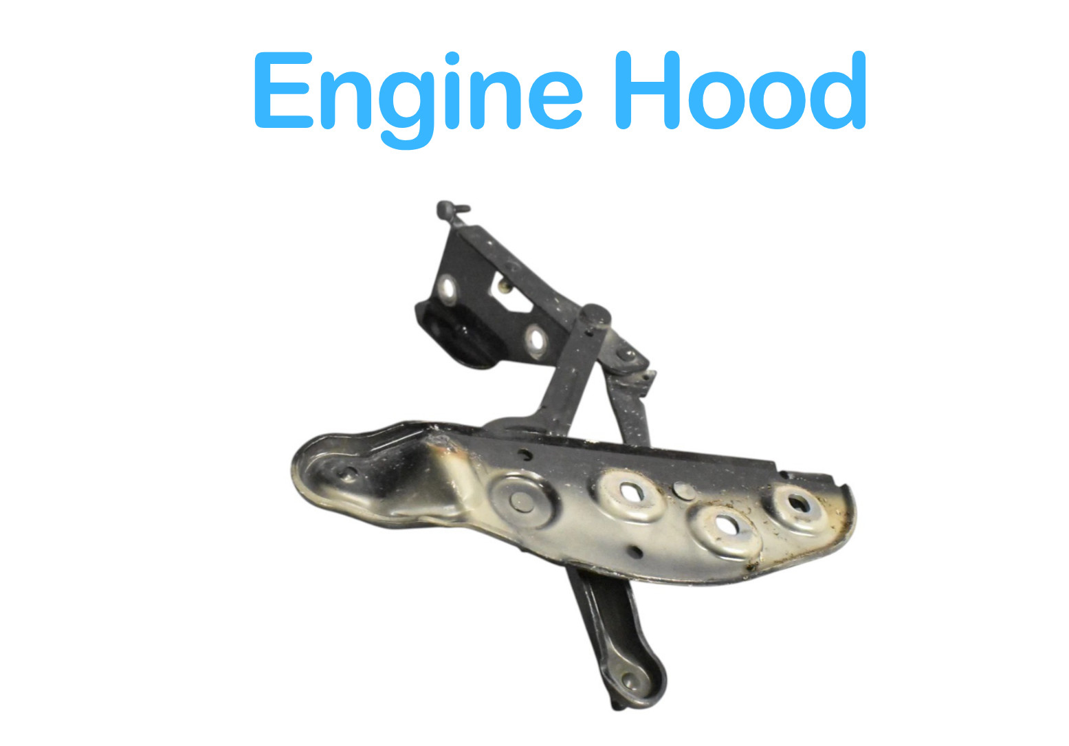 03-13 Bentley Continental GT Left Driver Engine Hood Hinge 3W0823301 OEM