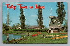 Tulip Time in Iva Iowa Color Photo Vintage Postcard