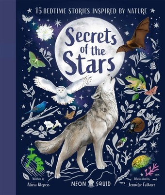 SECRETS OF THE STARS by KLEPEIS ALICIA Hardback Self Help Business
