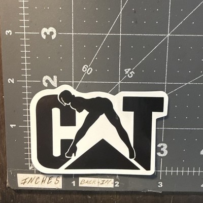 CAT Stripper Girl Adult Humor Sticker For Phone Guitar Toolbox Ect GL39